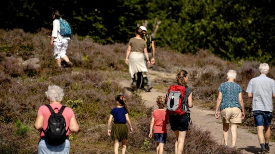 Foto: Hoe druk is de Veluwe echt? Onderzoek onthult piekmomenten