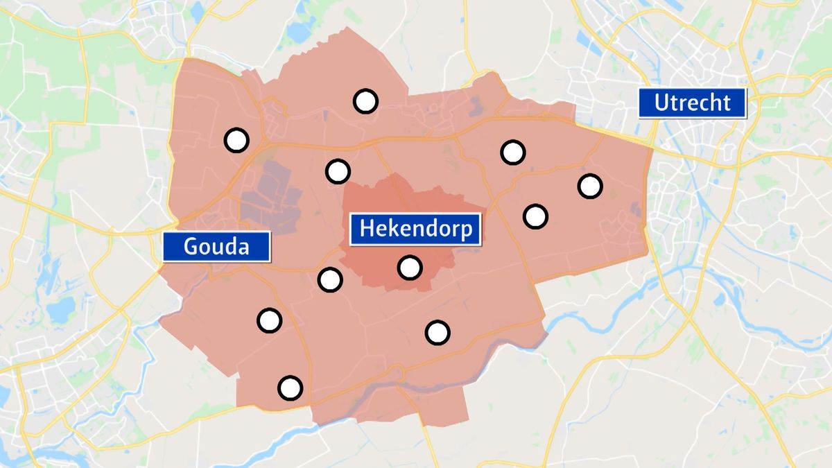 Ruiming bij pluimveebedrijf Hekendorp: 'Het is echt botte pech'