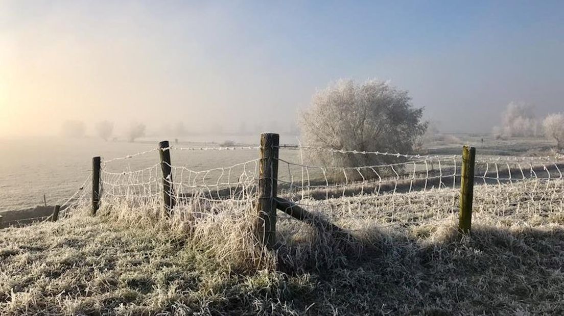 Het RIVM waarschuwt voor smog