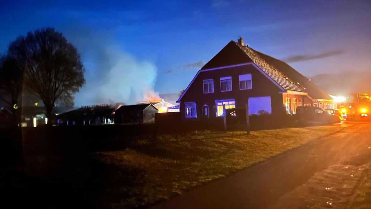 Large stable fire at a farm in Holthone, municipality of Hardenberg ...