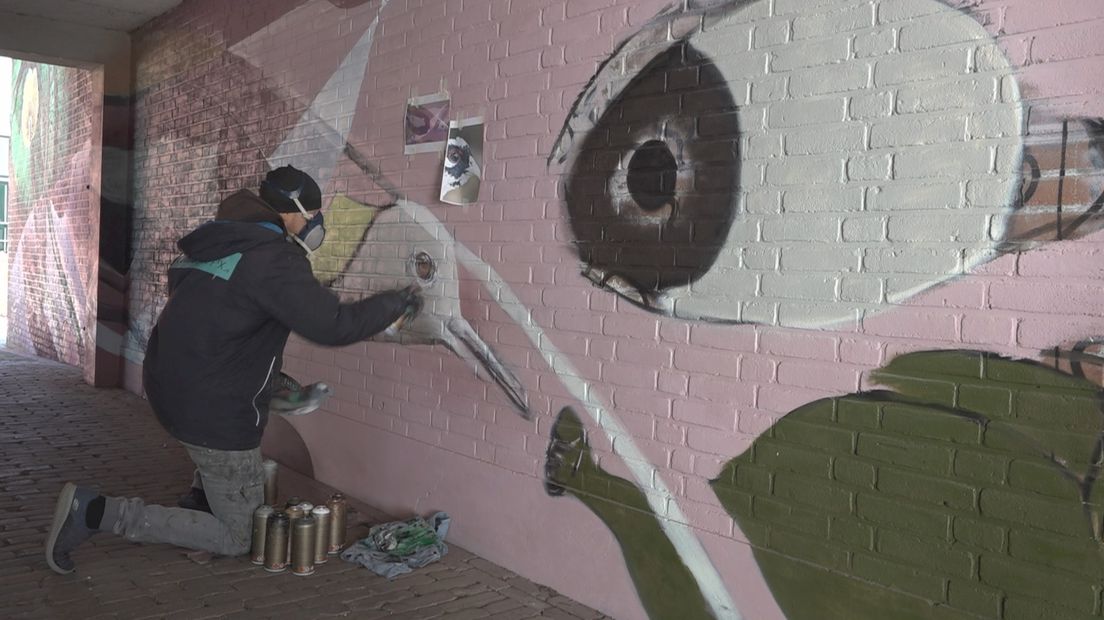 Thuiswerkers Deventer geraakt door nieuwe muurschildering binnenstad: "Genieten in belabberde tijden"