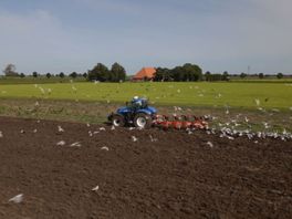 Gedeputeerde De Vries ziet "veel enthousiasme" bij landbouwpartijen over weidevogelafspraken