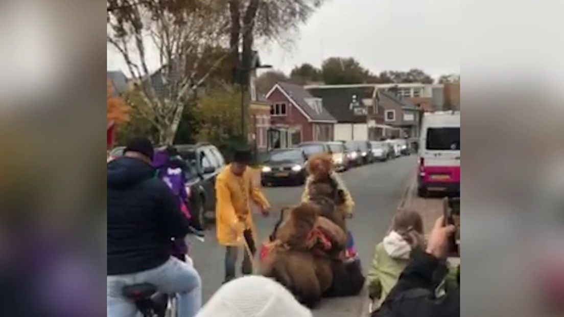 De kameel is er bij gaan zitten (Rechten: videostill Annemiek Pijper)