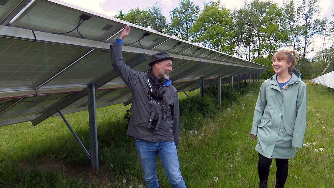 Die smalle sleuven zorgen dat er nog wat licht tussen de panelen door valt en er iets van vegetatie kan groeien.