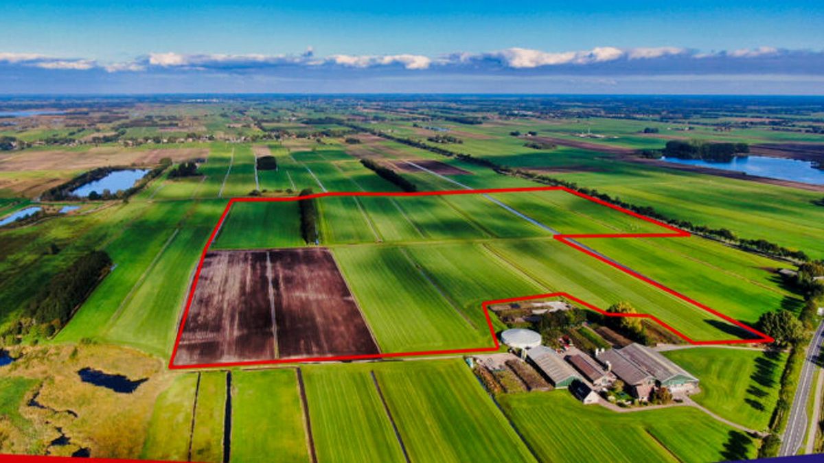 Wanneperveen krijgt groot zonnepark aan rand van de Wieden