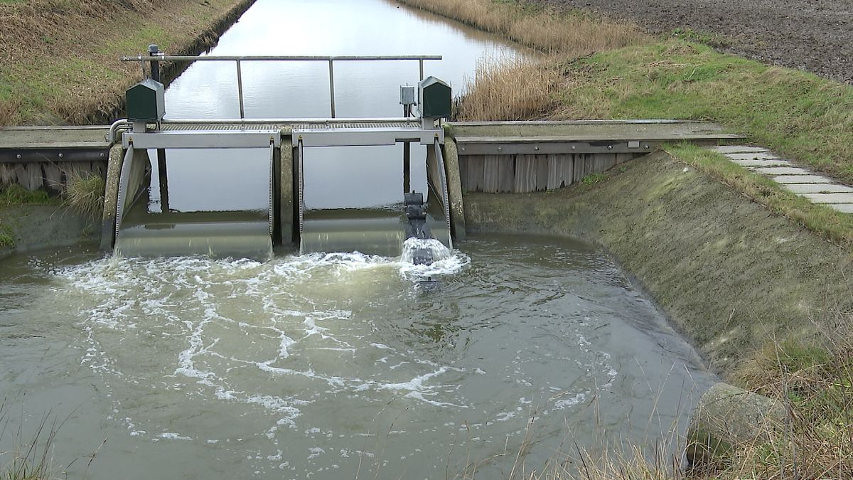 Waterschap vult sloten met gezuiverd rioolwater vanwege aanhoudende droogte