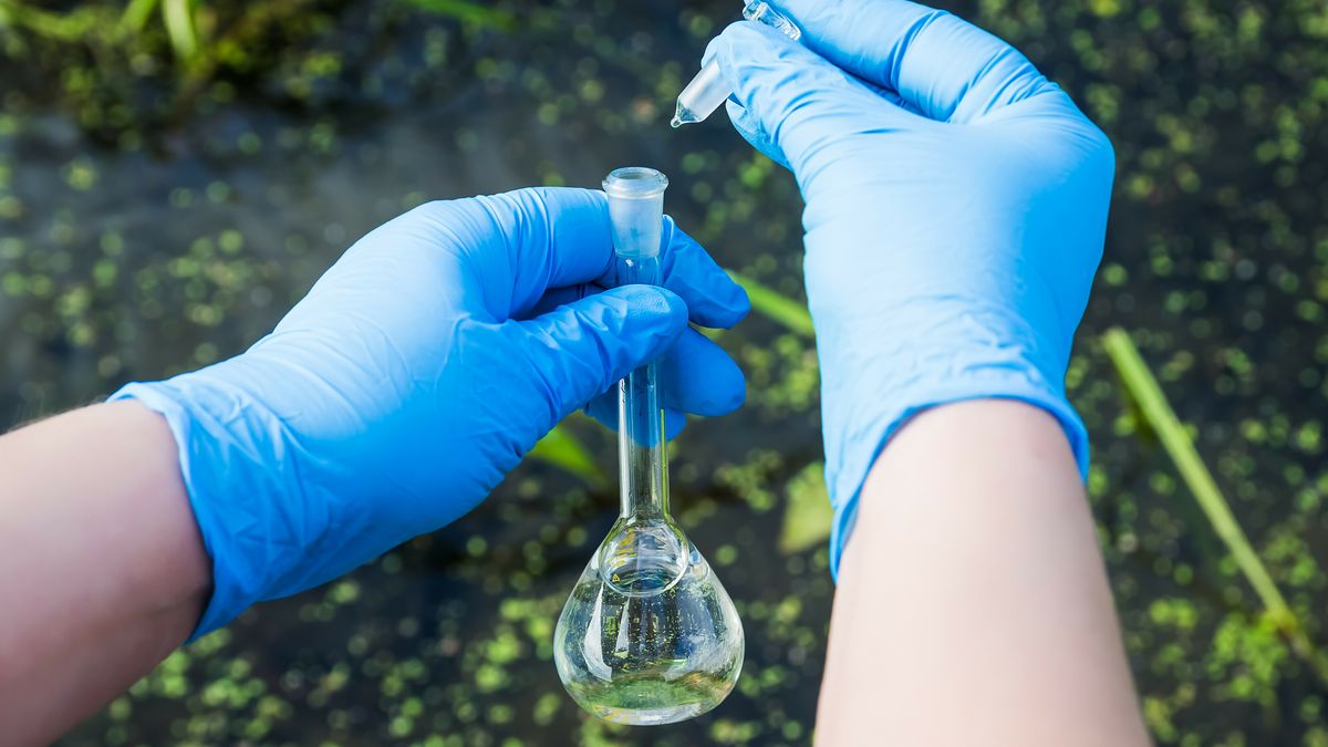 Wat zijn die giftige stoffen bij Vliegbasis Leeuwarden en hoe gevaarlijk zijn ze?