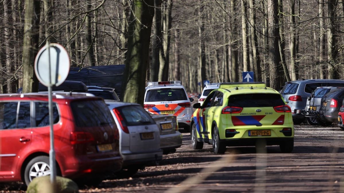 Man die zoontje wilde doden bij Boomkroonpad voor de rechter