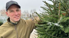 Run op kerstbomen: 'Met de hand uit de kletsnatte modder gehaald'