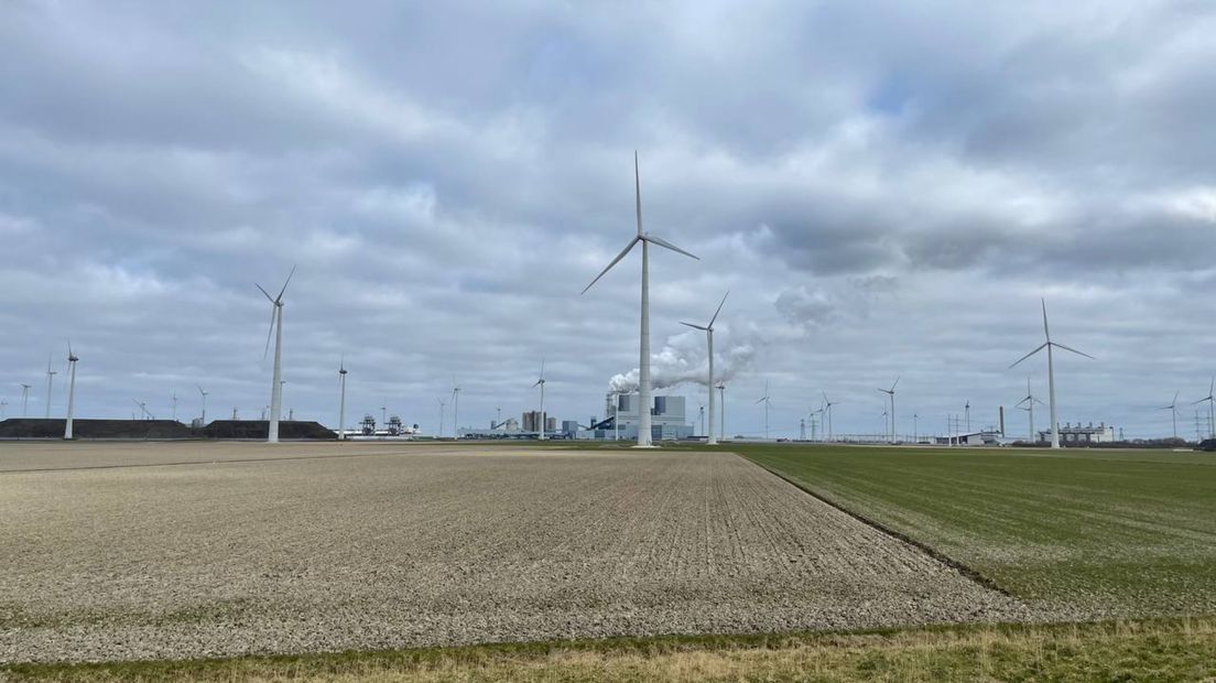 De Oostpolder met de Eemshaven op de achtergrond