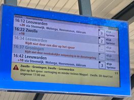 Pony's en graffitispuiter zorgen voor tijdelijke vertraging op spoor tussen Zwolle en Meppel