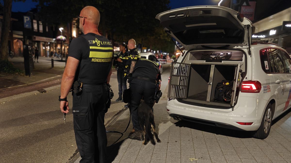 Twee aanhoudingen bij grote vechtpartij in Drachten