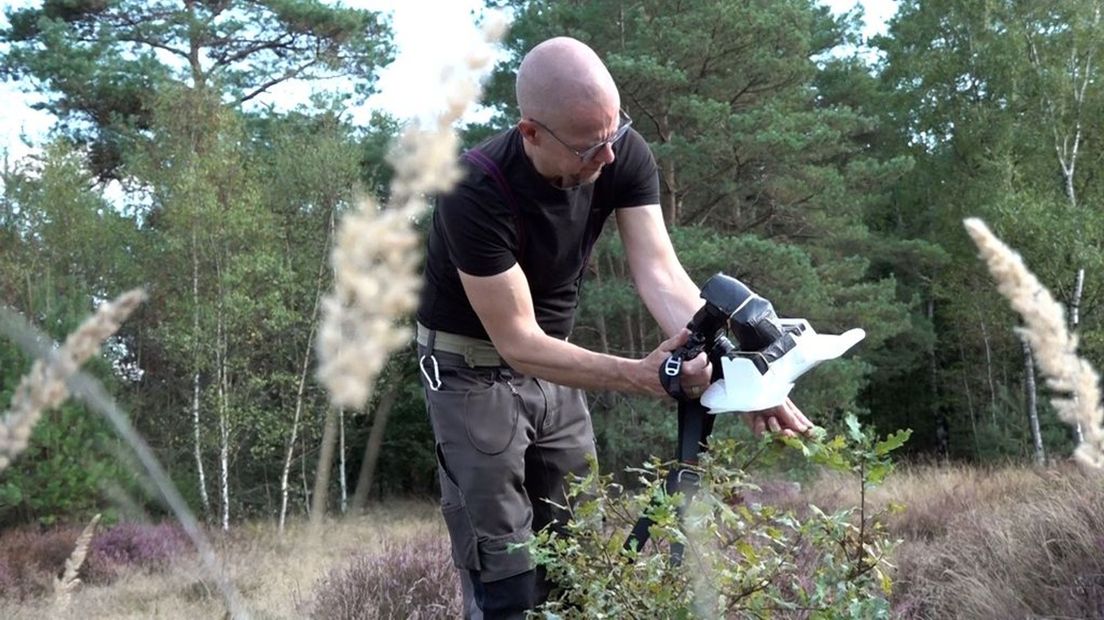 'Spinnenman' David Sies gaat regelmatig op pad om kriebelige monsters in de natuur te spotten