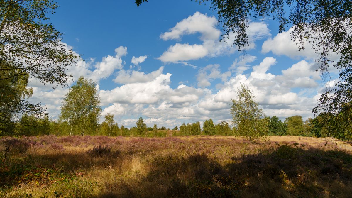 Limburg Kiekt: Wellerlooi, Nunhem, Hulsberg en...