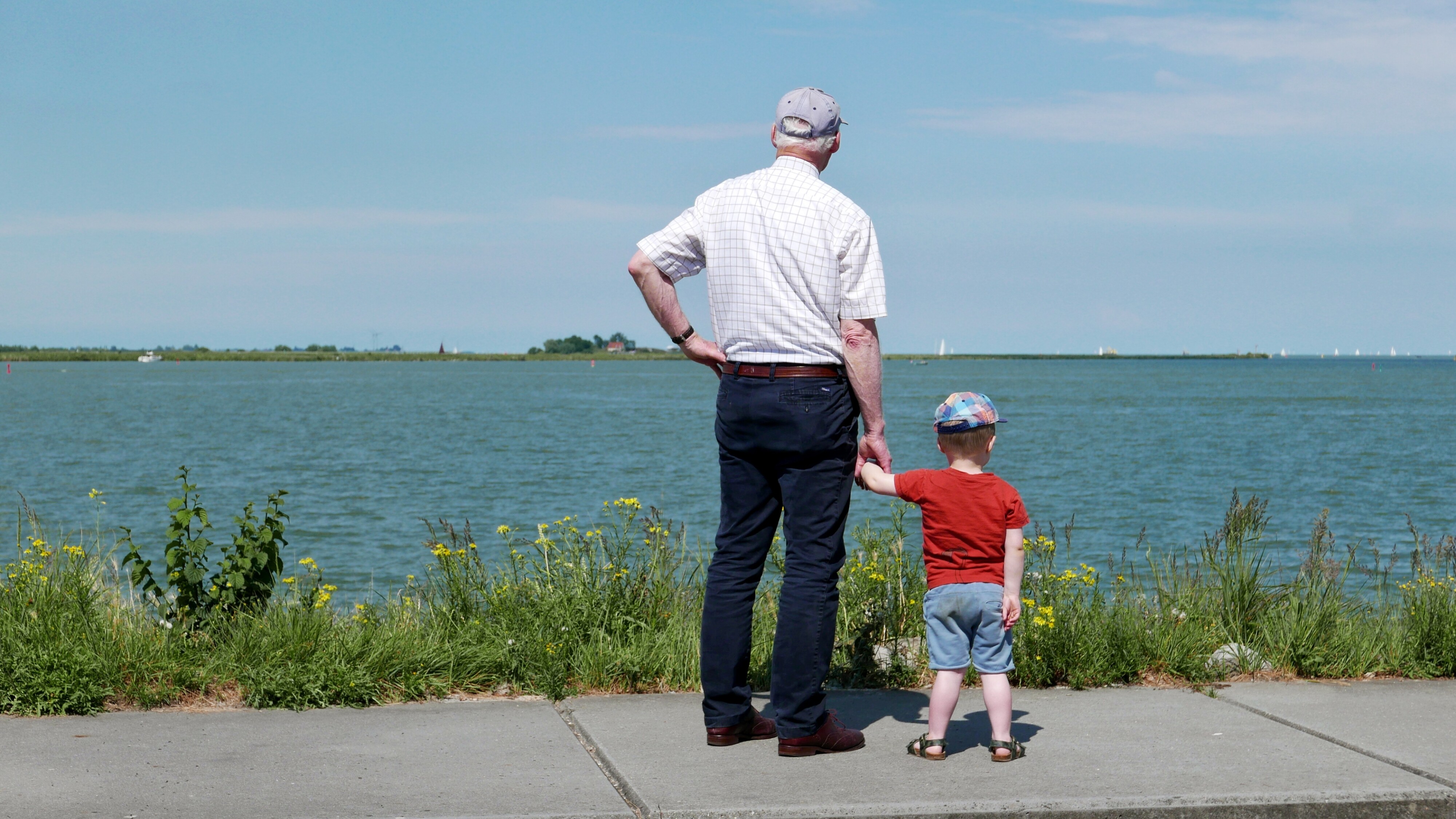 Babyboomer, Millennial of Gen Z, hokker generaasje falsto ûnder?