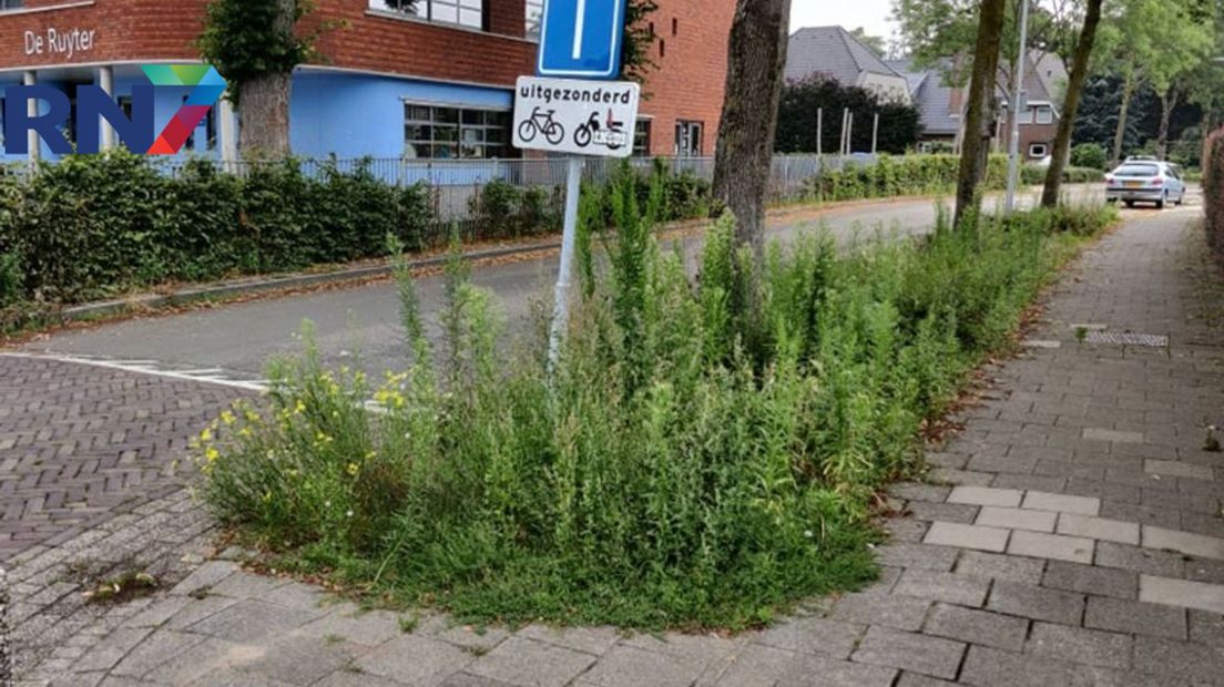 Ook in de Jonkerstraat in Weurt staat het onkruid erg hoog