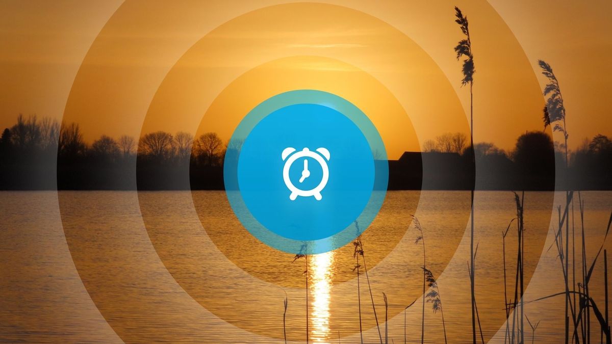 Goedemorgen. Jongetje Dean dood aangetroffen, hele school naar huis en de terugkeer van de otter