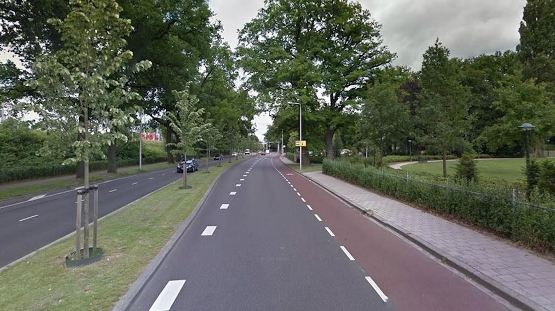 De Parkweg ter hoogte van het Volkspark