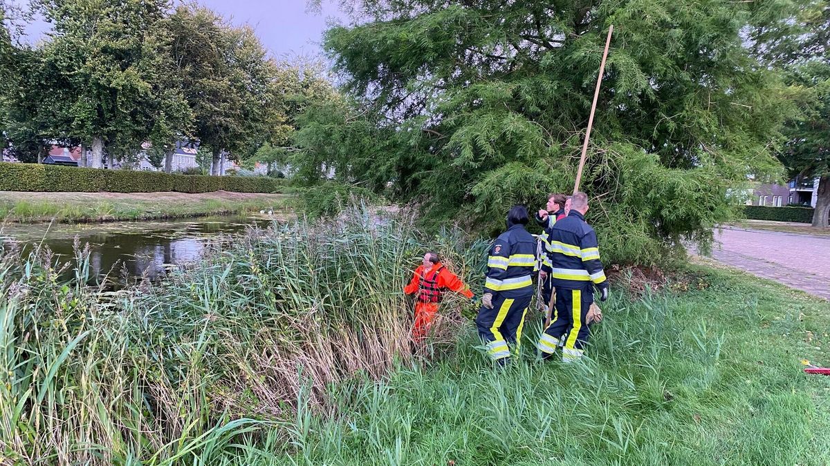 Brandweer Joure zoekt tevergeefs naar kat