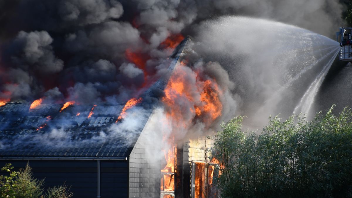 Paardenstal in Aardenburg volledig verwoest door brand