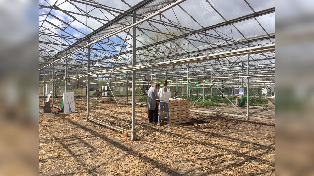 The Fruit Farm Group wil grond bij Sexbierum kopen