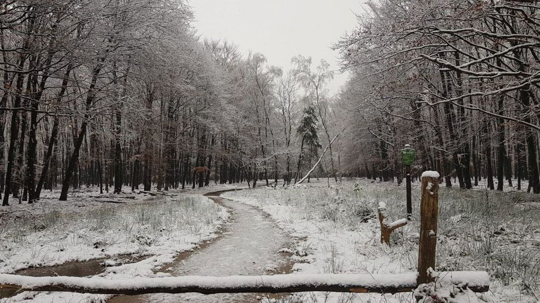 Sneeuw in de buurt van Putten.