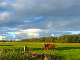 Dit wordt het weer: kachel hoeft ook na Zuidlaardermarkt niet aan