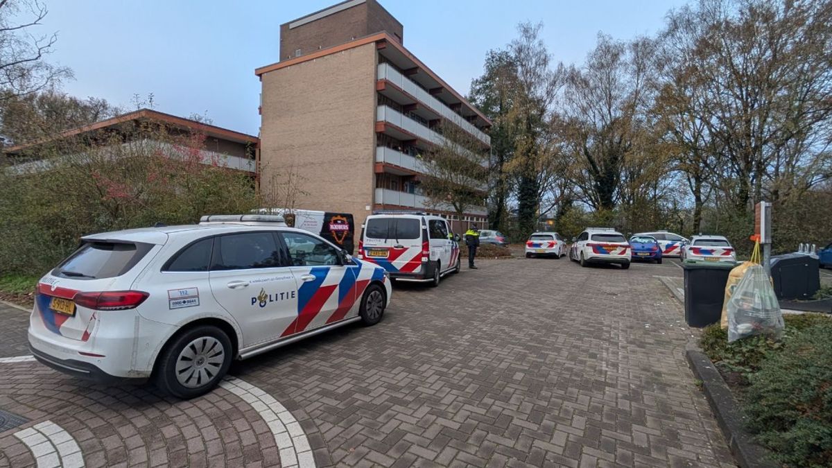 Verdachte aangehouden na steekincident in Doetinchem