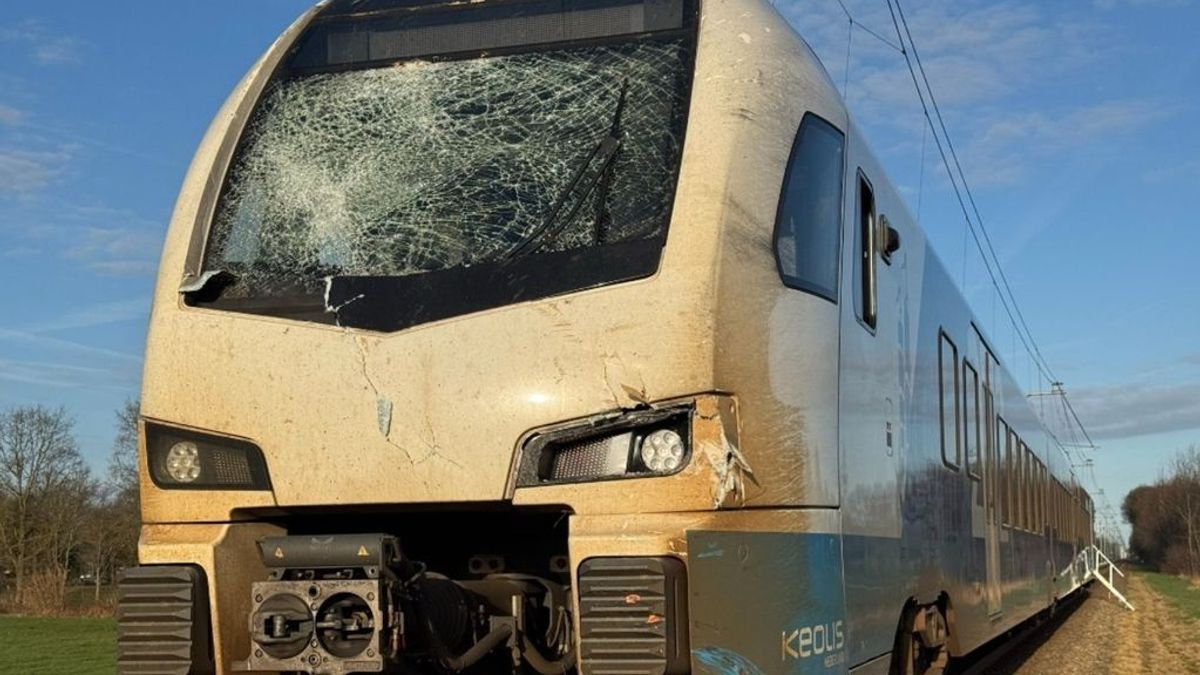 Engeltje op schouder: machinist en passagiers ongedeerd bij treinbotsing met boom