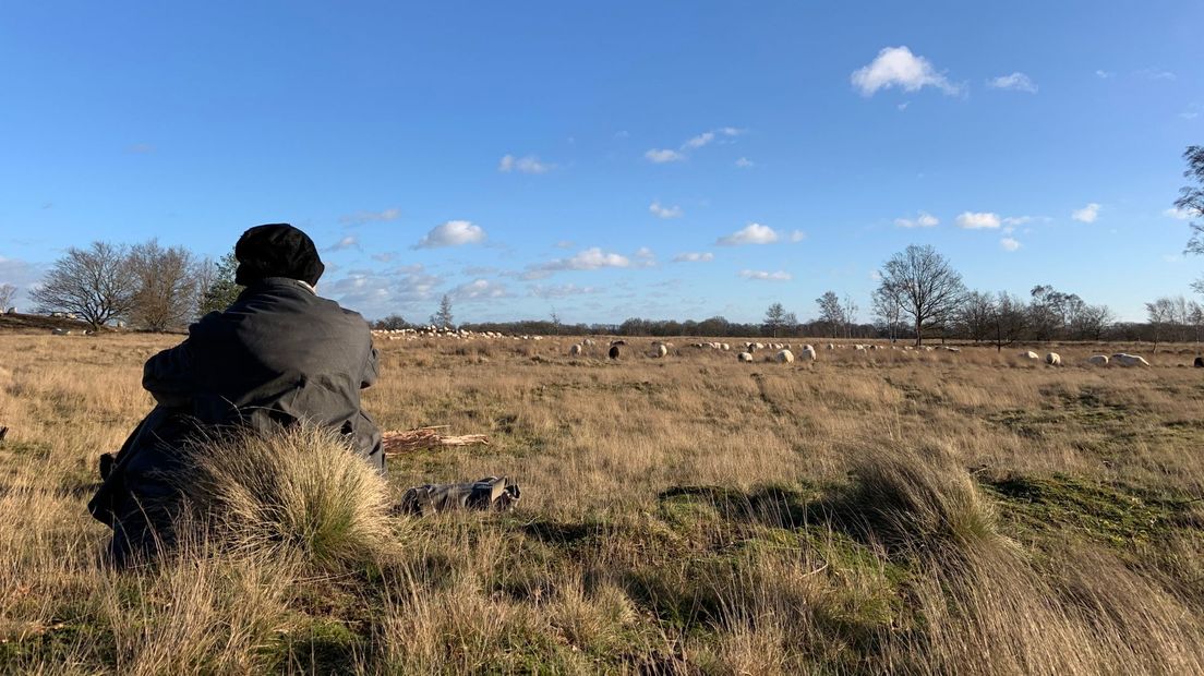 Herder Marianne Duinkerken komt dagelijks agressie tegen