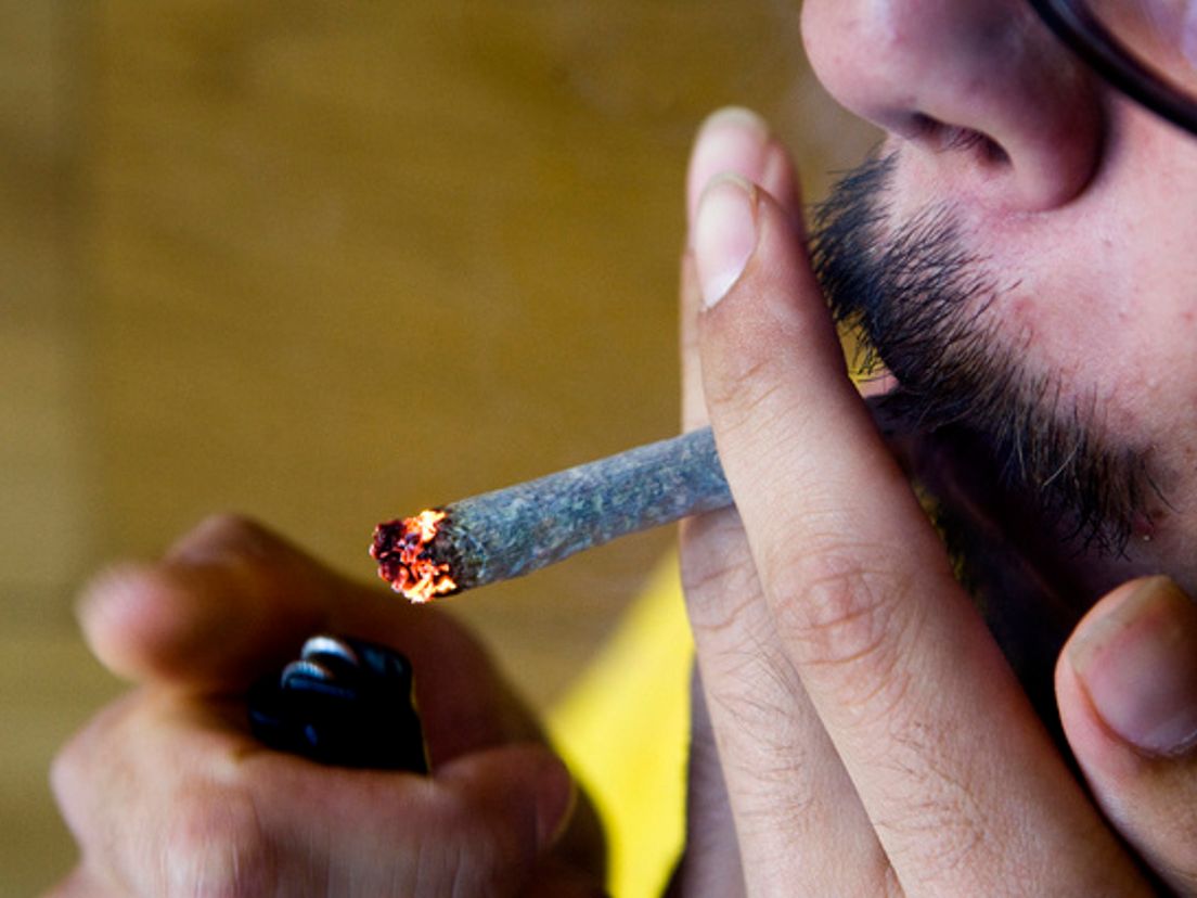joint.cropresize.1.cropresize.tmp.jpg