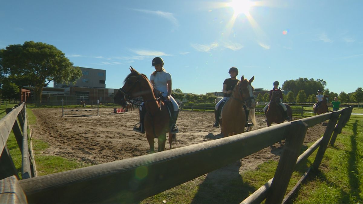 Leerlingen schitteren met paarden in Sneek: 
