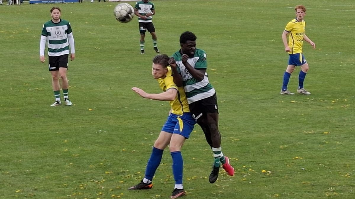 FC Dauwendaele kan leven met een punt in stadsderby; 'Titel komt volgende week wel'