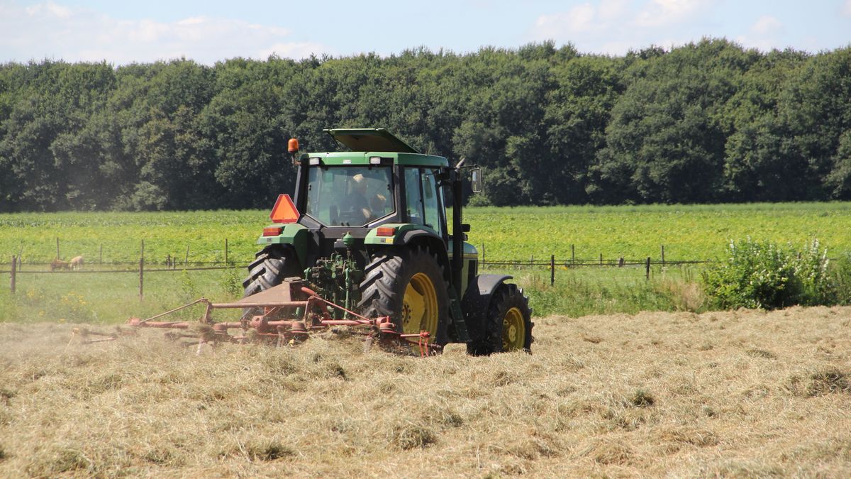 Slecht hooi- en strojaar voor Drentse boeren