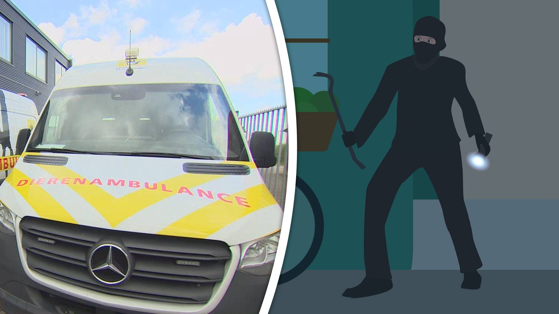 Edwin breekt in bij de dierenambulance en gaat rijden in een wagen