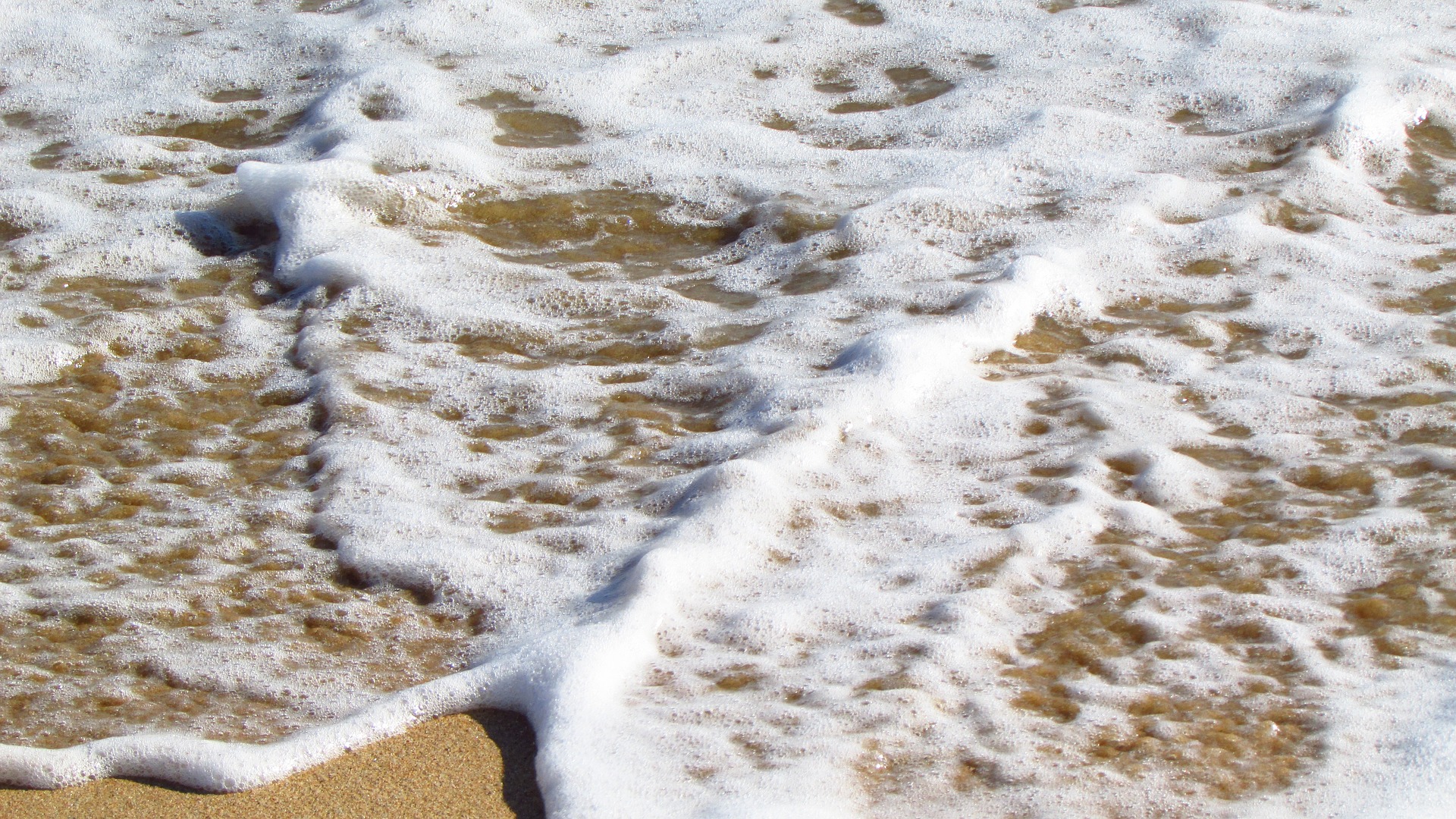 Sea