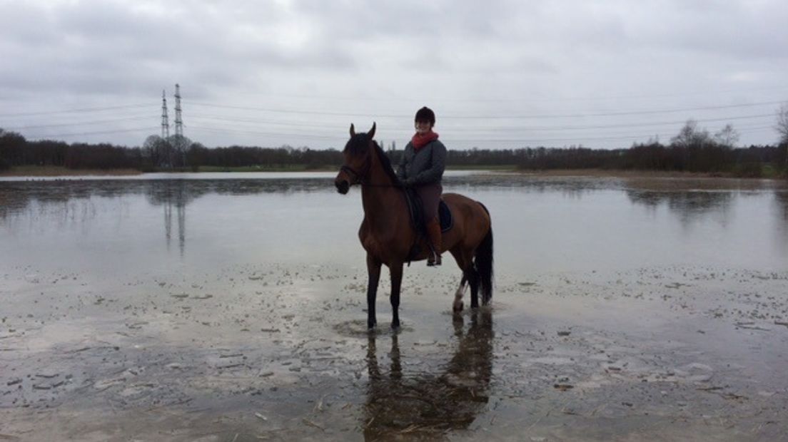 Paard en ruiter in het water (Rechten: Ineke Kemper / RTV Drenthe)