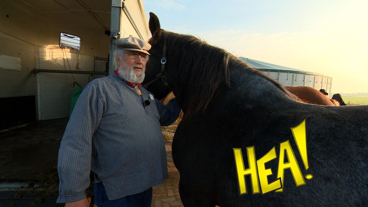 HEA! Achter de optocht aan