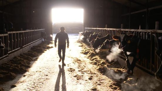 Voorman agrarische jongeren: 'Zorg snel voor een stabiel kabinet'
