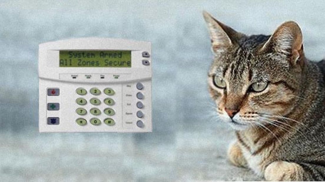 Kat 'slaat alarm' bij inbraak