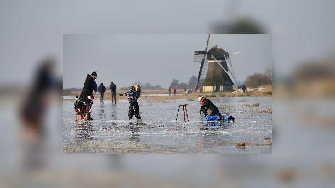 Reedride op de Ryptjerksterpolder