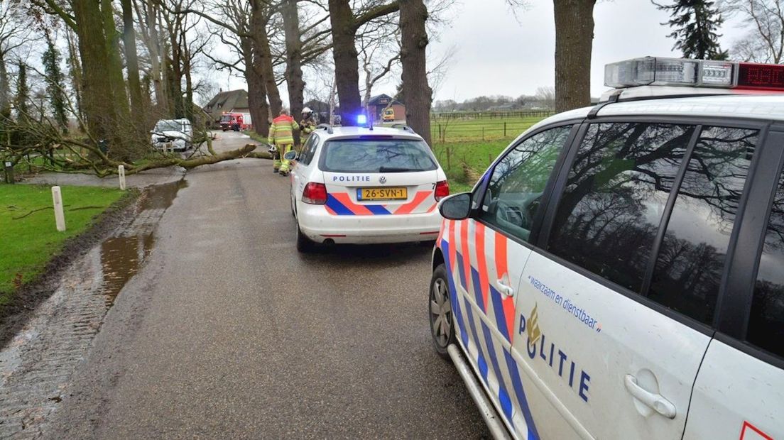 Vallende boom treft vrachtwagenchauffeur in Broekland met dodelijke afloop