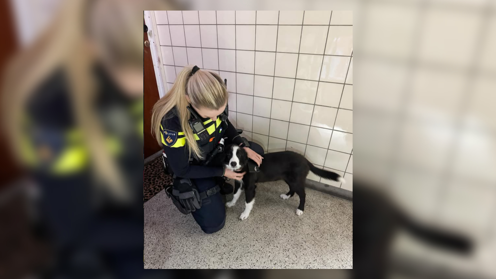 De pup is al een stuk gegroeid