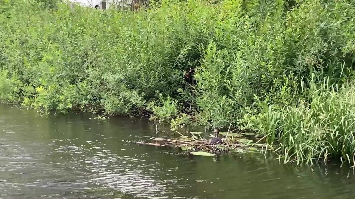 Varen met de Ommer Vechtzomp RTV Oost