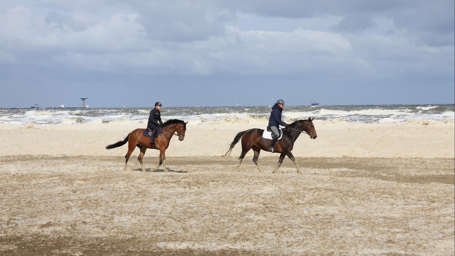 Paarden en ruiters trotseren zeeschuim in Hoek van Holland.
