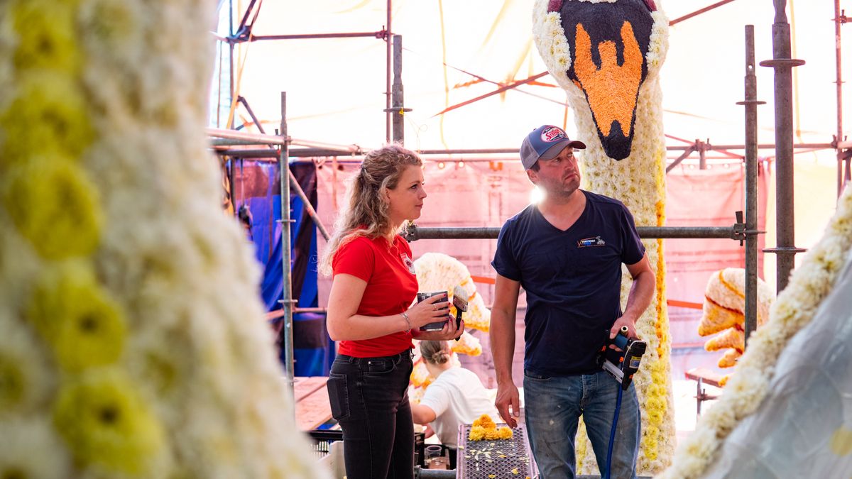 Na maanden werk en ruim een miljoen dahlia's is Leersum klaar voor het bloemencorso