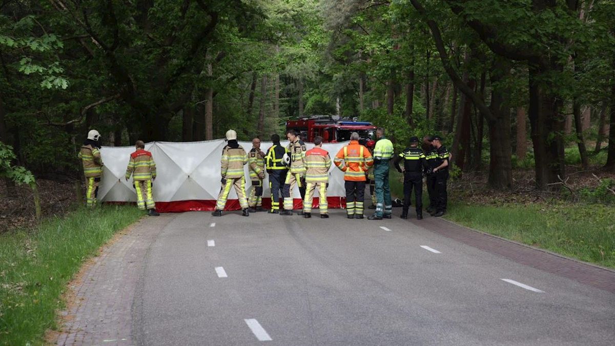 Automobilist om het leven gekomen na botsing tegen boom in Lemele
