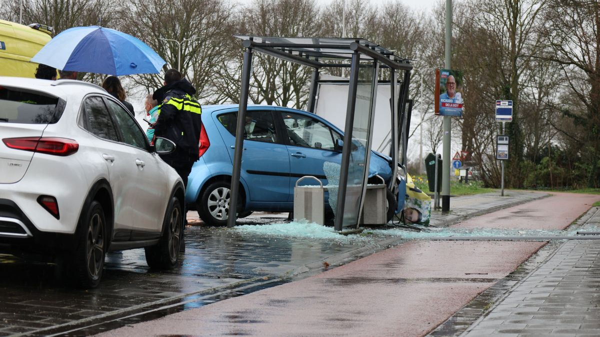 Automobilist 'parkeert' in bushokje in Venray: flinke schade
