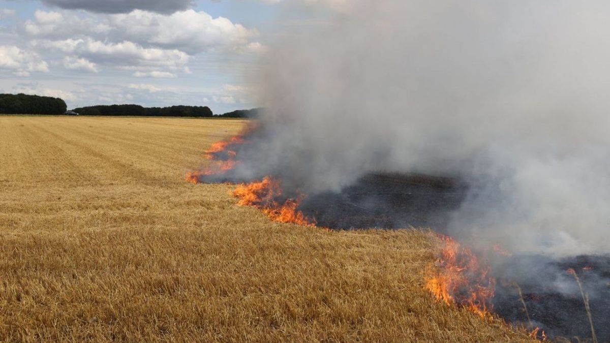 Akkerland langs N34 bij Drouwen gaat in vlammen op