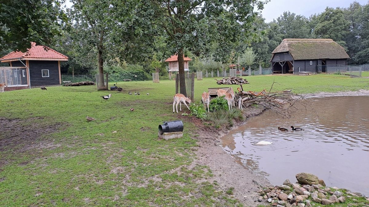 Vernieuwing bij dierenweide in Beilen: 'Dit moet je niet met oude meuk doen'